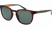 Brown Stainless Steel Sunglasses 1