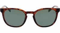 Brown Stainless Steel Sunglasses 2