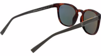Brown Stainless Steel Sunglasses 3