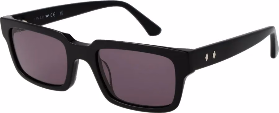 Black Acetate Sunglasses