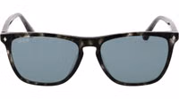 Black Acetate Sunglasses 2