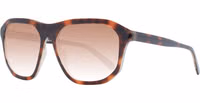 Brown Plastic Sunglasses 1