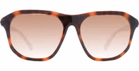 Brown Plastic Sunglasses 2