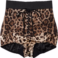 Brown Leopard High Waist Hot Pants Shorts 3