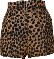 Brown Leopard High Waisted Hot Pants Shorts 1