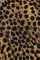 Brown Leopard High Waisted Hot Pants Shorts 4