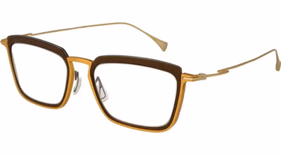 Gold Metal Glasses (Frames)