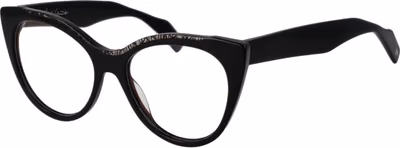 Black Plastic Glasses (Frames)