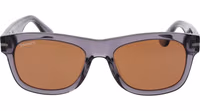 Gray Plastic Sunglasses 2