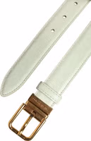 Light Green Leather Gold Metal Buckle Belt 4