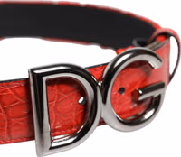 Red Viscose Silver DG Logo Metal Buckle Belt 3
