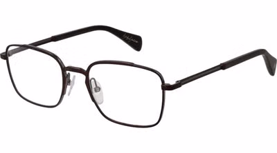 Bronze Metal Glasses (Frames)