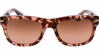 Multicolor Plastic Sunglasses 2