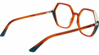 Brown Acetate Glasses (Frames) 3