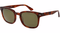 Brown Acetate Sunglasses 1