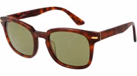 Brown Acetate Sunglasses 1