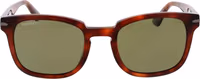 Brown Acetate Sunglasses 2