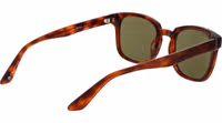 Brown Acetate Sunglasses 3