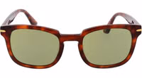 Brown Acetate Sunglasses 2