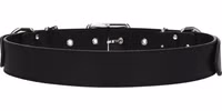 Black Leather Belt 2