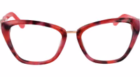 Multicolor Acetate Glasses (Frames) 2