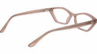 Beige Plastic Glasses (Frames) 3