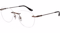 Bronze Titanium Glasses (Frames) 1