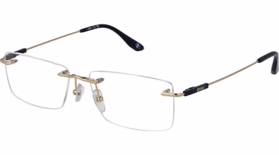 Gold Titanium Glasses (Frames)
