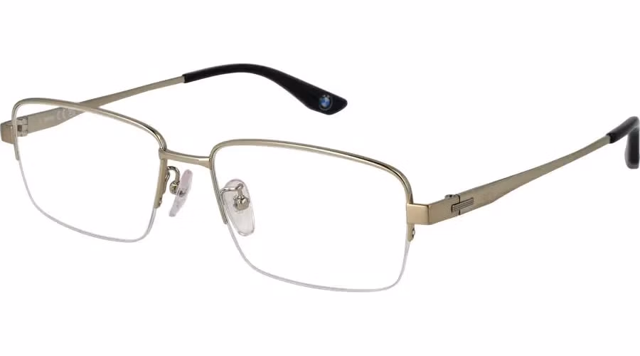 Gold Titanium Glasses (Frames)
