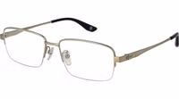 Gold Titanium Glasses (Frames) 1