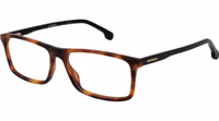 Brown Plastic Glasses (Frames) 1