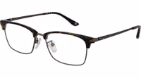 Brown Titanium Glasses (Frames) 1