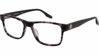 Bicolor Acetate Glasses (Frames) 1