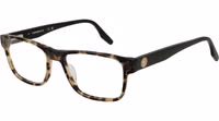 Bicolor Acetate Glasses (Frames) 1