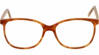 Brown Acetate Glasses (Frames) 2