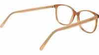 Brown Acetate Glasses (Frames) 3