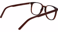 Brown Acetate Glasses (Frames) 3