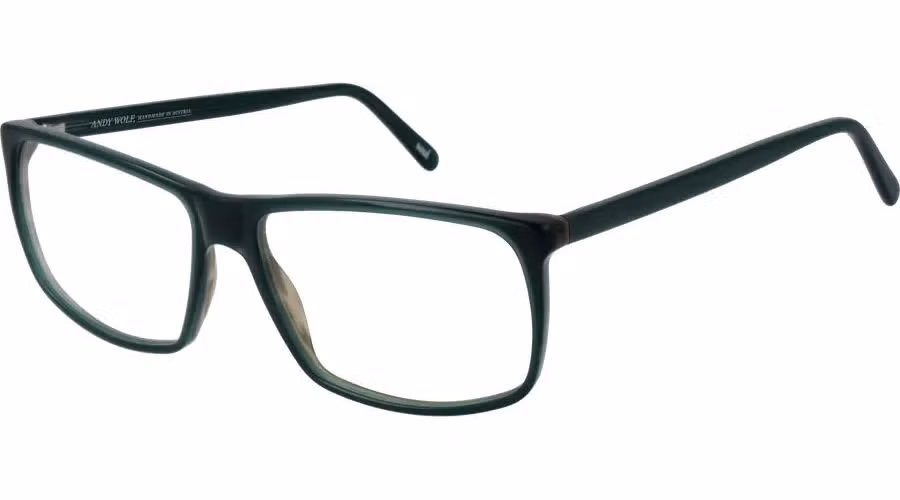 Bicolor Acetate Glasses (Frames)