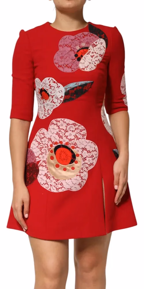 Red Lace Floral Applique A-line Mini Dress
