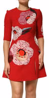 Red Lace Floral Applique A-line Mini Dress 1