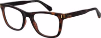 Brown Polyester Glasses (Frames) 1