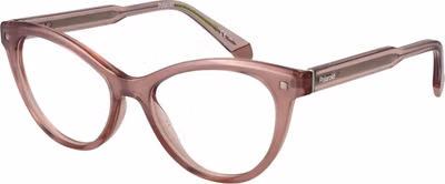 Pink Cellulose Propionate Glasses (Frames)