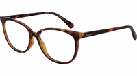 Brown Polyamide Glasses (Frames) 1