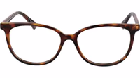Brown Polyamide Glasses (Frames) 2