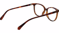 Brown Polyamide Glasses (Frames) 3