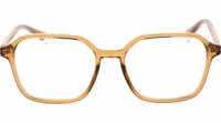 Beige Polyamide Glasses (Frames) 2