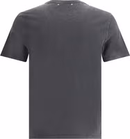 Gray Cotton T-Shirt 2