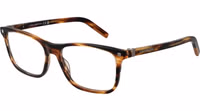 Brown Acetate Glasses (Frames) 1