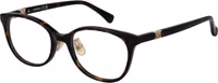 Brown Acetate Glasses (Frames) 1