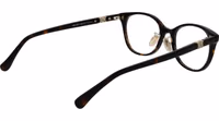 Brown Acetate Glasses (Frames) 3